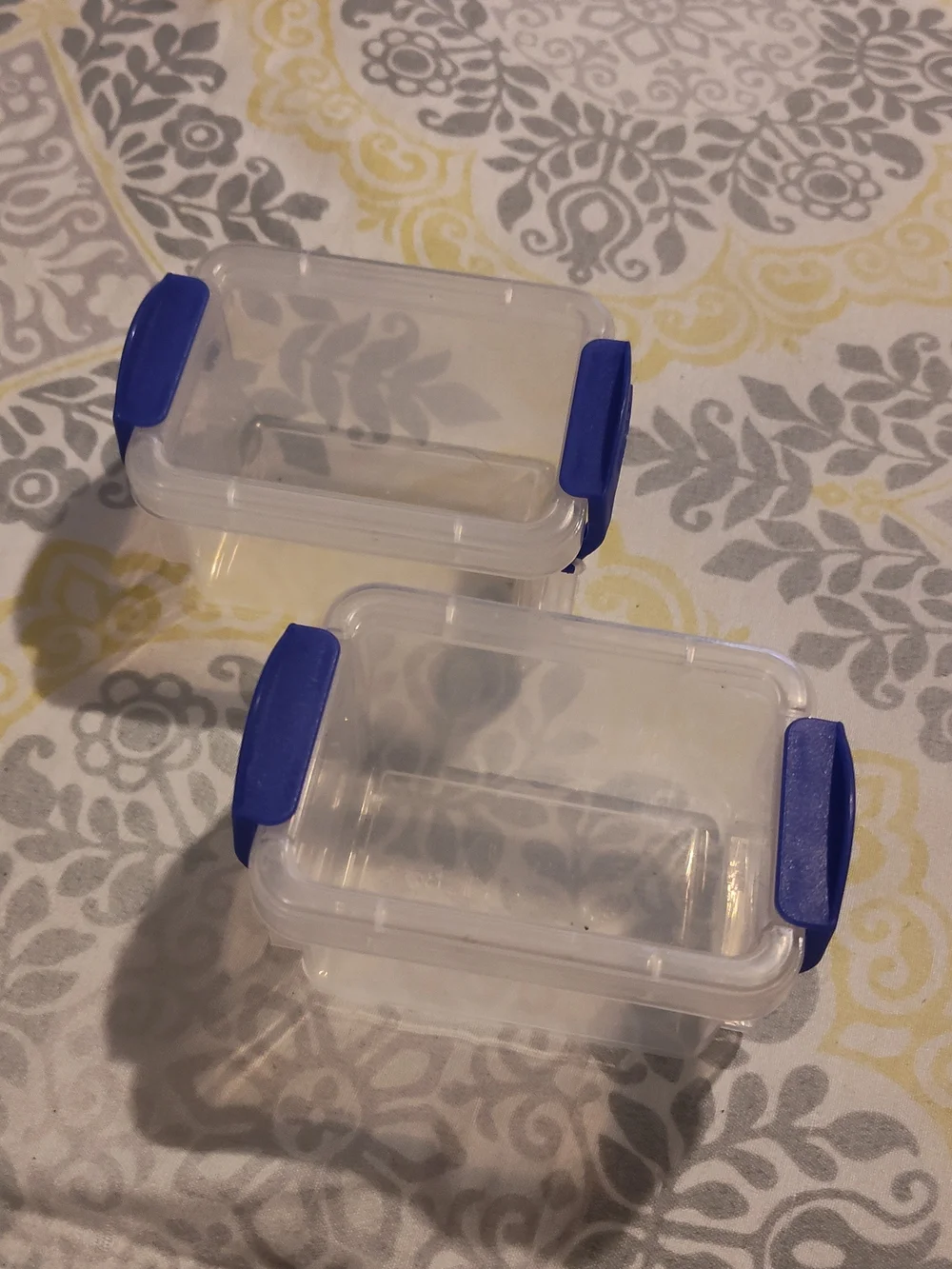 Bundle Of Clear Plastic Compartment Storage Box with Blue Latches - Organization